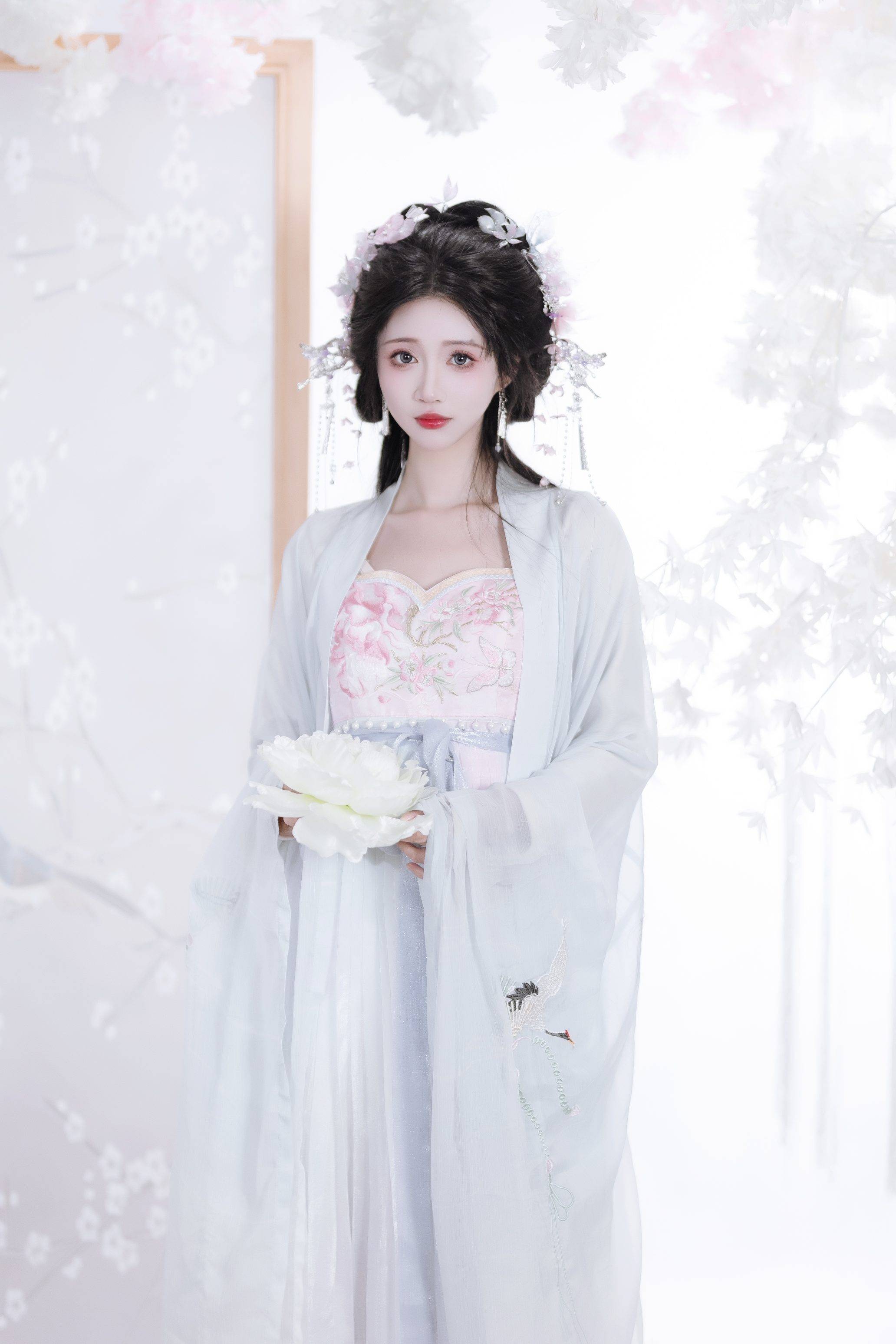 ae5662532820241123004650