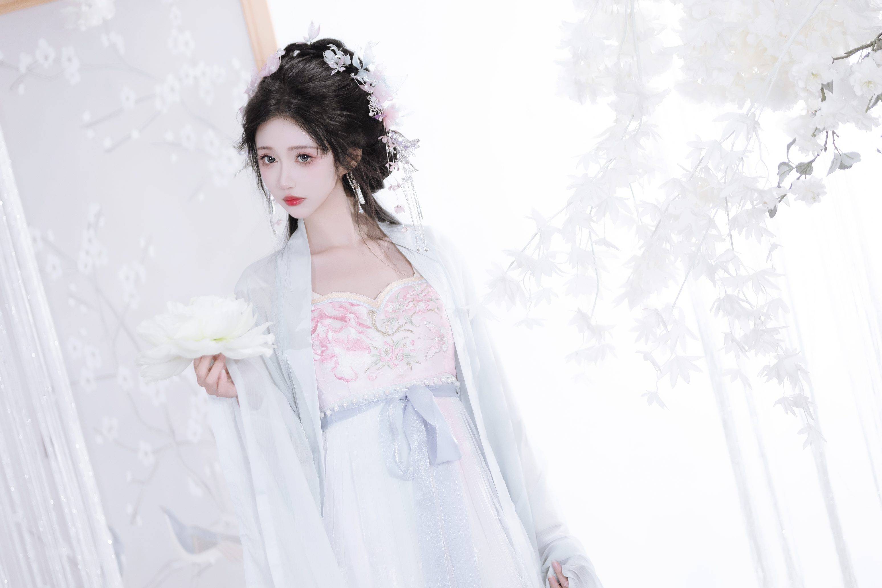 62bf1edb3620241123004652