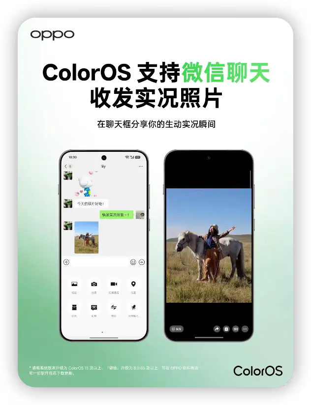 d2b5ca33bd20251206130639